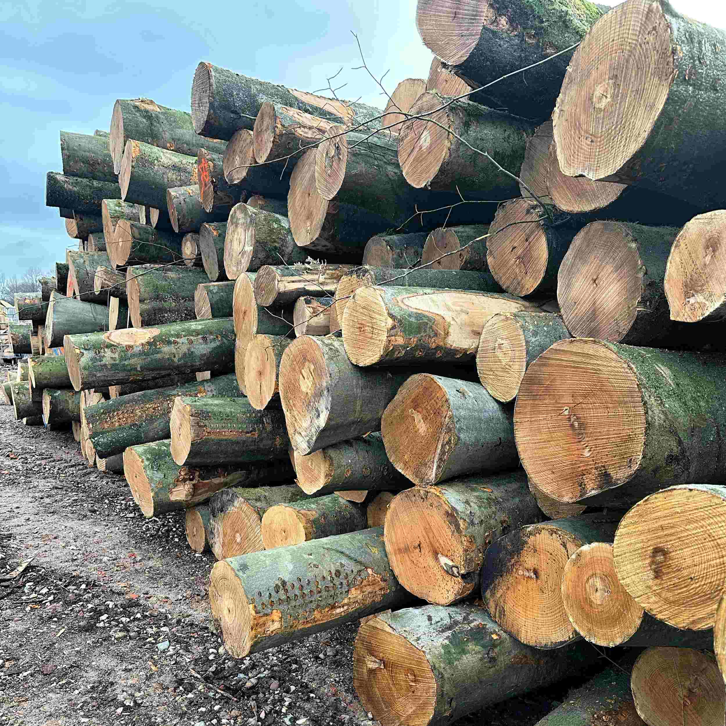 Brennholz Pöpperling_Holzpolter_12